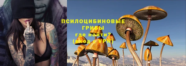 твердый Алзамай
