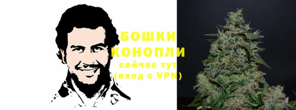 гидра Алексеевка