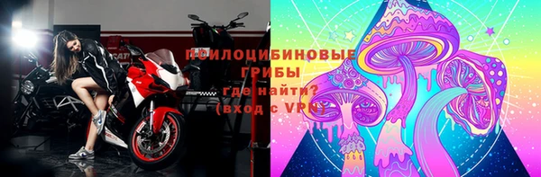 твердый Алзамай