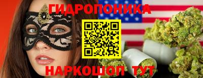 стафф Балаково