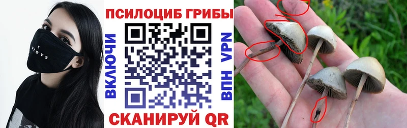 что такое Архангельск сайты даркнета формула Галлюциногенные грибы ЛСД