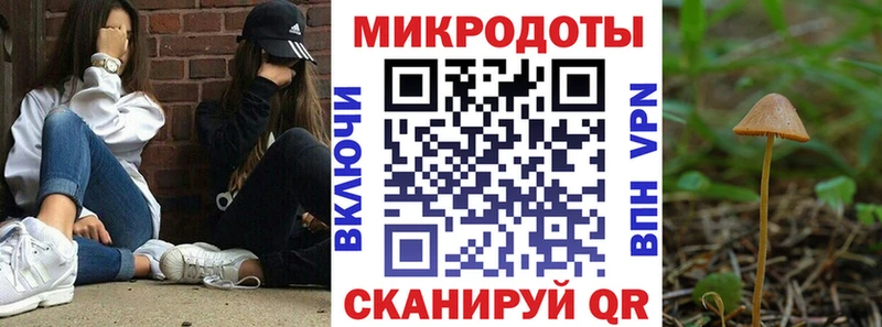 Галлюциногенные грибы Magic Shrooms Архангельск