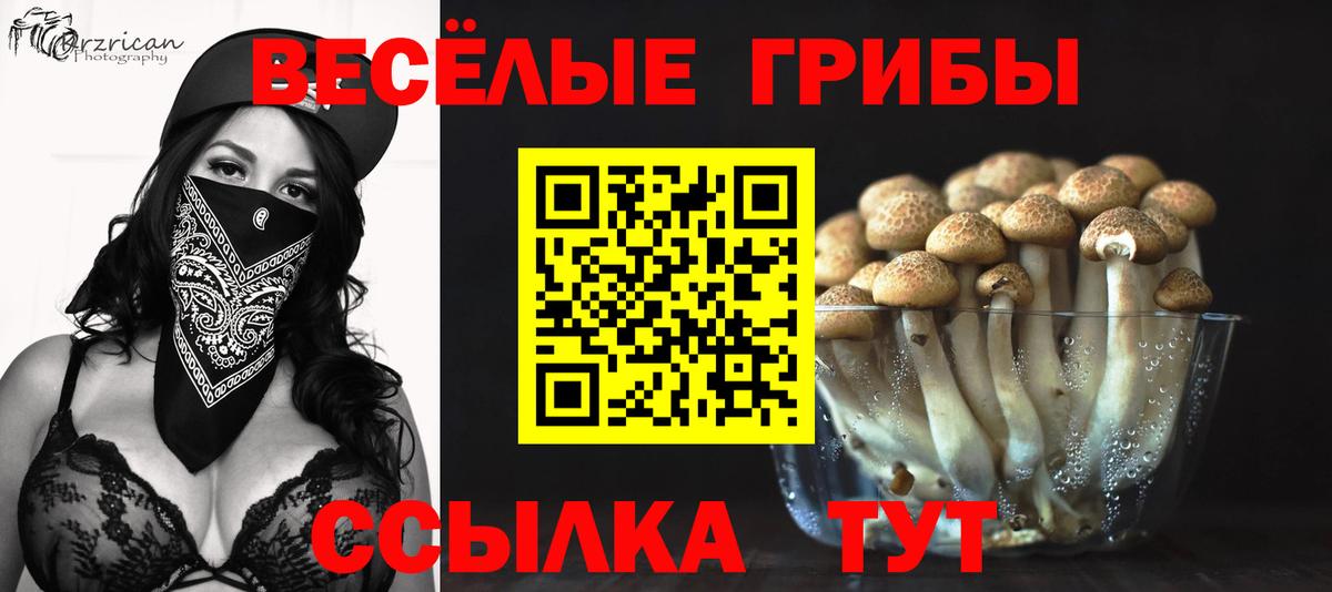 Архангельск  где можно купить   Вход с VPN  Галлюциногенные грибы прущие грибы 