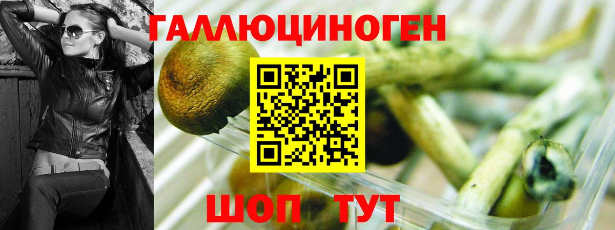 Псилоцибиновые грибы Magic Shrooms Архангельск