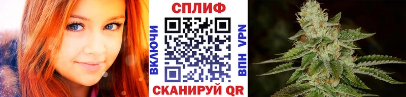 Конопля ГИДРОПОН  Архангельск 
